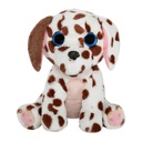 ADOPTANIMALS CUTIE RESCUE
