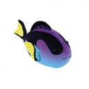 ZHU ZHU FISH