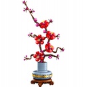 FLOR DE CIRUELO