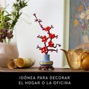 FLOR DE CIRUELO