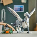 BUCKBEAK