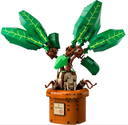 MANDRAGORA HARRY POTTER