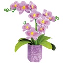 ARTE FLORAL  ORQUIDEA