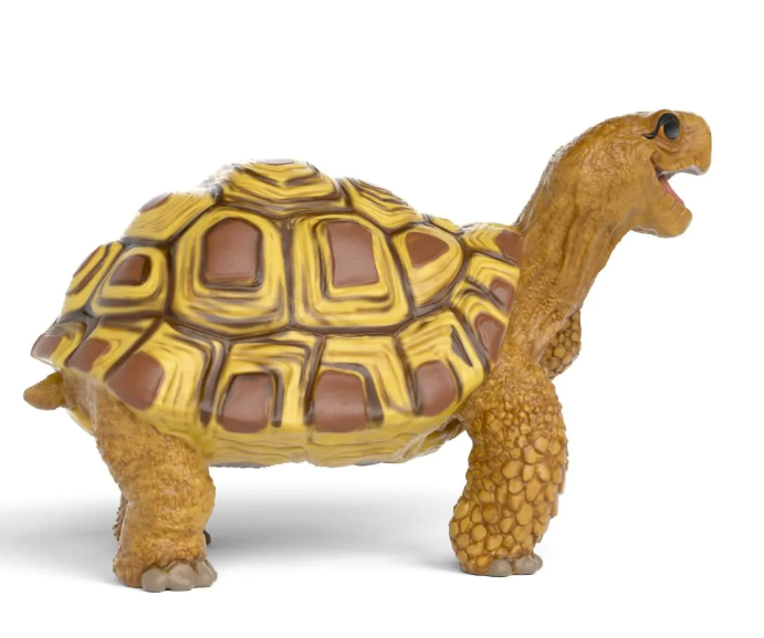 HENRIETTA LA TORTUGA