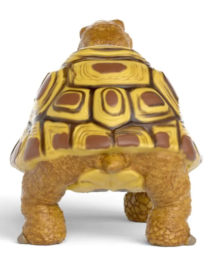 HENRIETTA LA TORTUGA