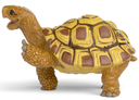HENRIETTA LA TORTUGA