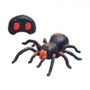 TARANTULA R/C.