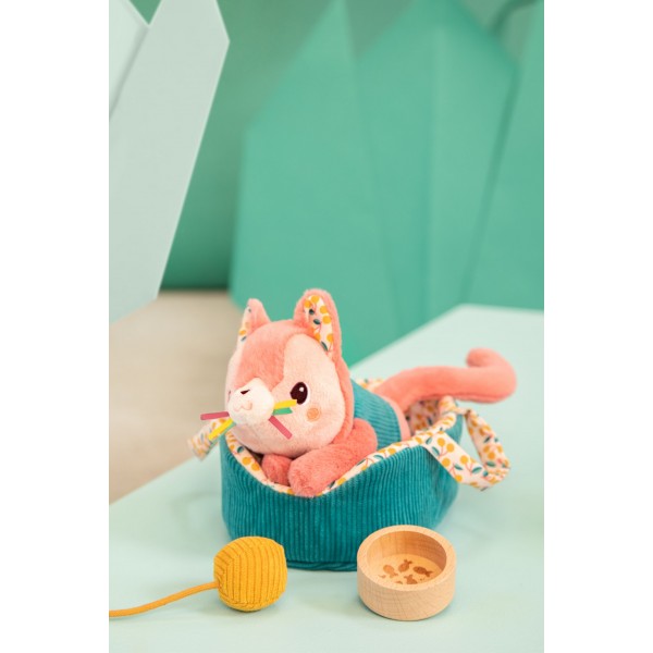 JEANNE EL GATO Y SU CESTA