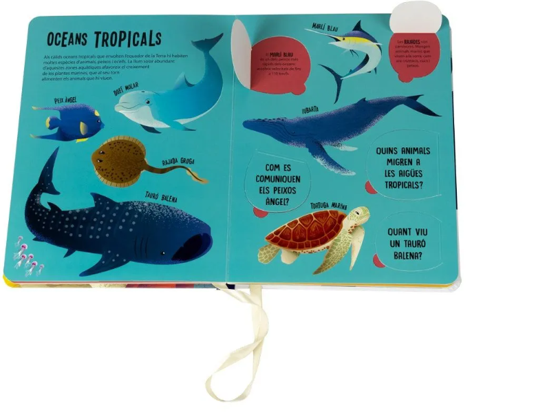 ANIMALS MARINS