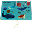 ANIMALS MARINS