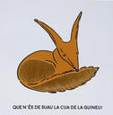EL MEU LLIBRE DE TEXTURES PETIT PRINCEP