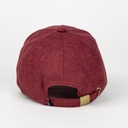 GORRA TOY STORY LOTSO ADULTO