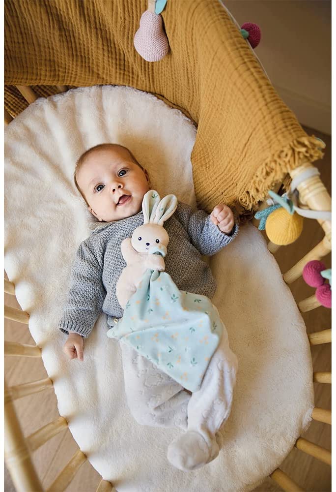 DOUDOU CONEJO 17 CM.