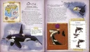 ANIMALS POLARS
