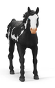 CABALLO CAPON PAINT HORSE