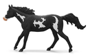 CABALLO CAPON PAINT HORSE