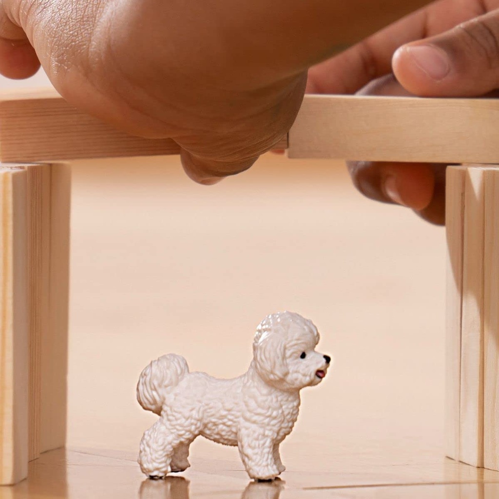 BICHON FRISE