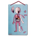 BODYMAGNET EN 12 IDIOMAS