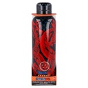 BOTELLA TERMO DRAGON BALL 515