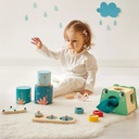 BOX 12 MESES