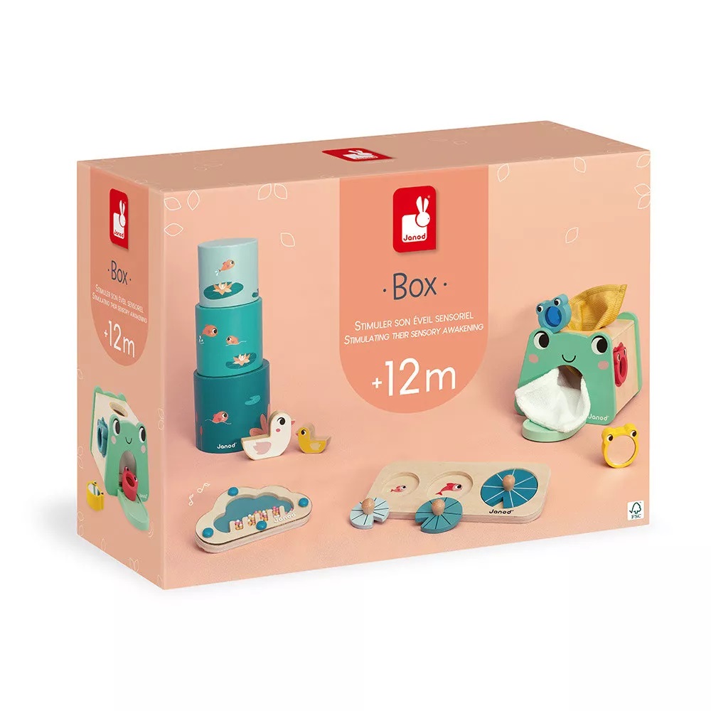 BOX 12 MESES