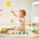 BOX 18 MESES