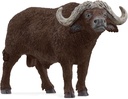 BUFALO CAFRE