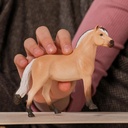 CABALLO FIORDO
