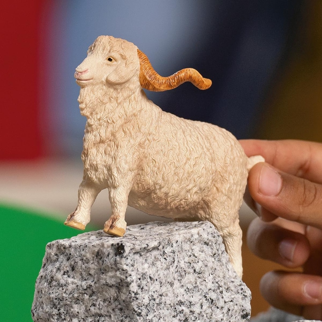 CABRA DE ANGORA