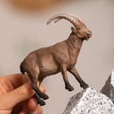 CABRA MONTESA