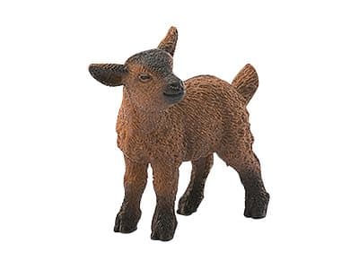 CABRITILLO