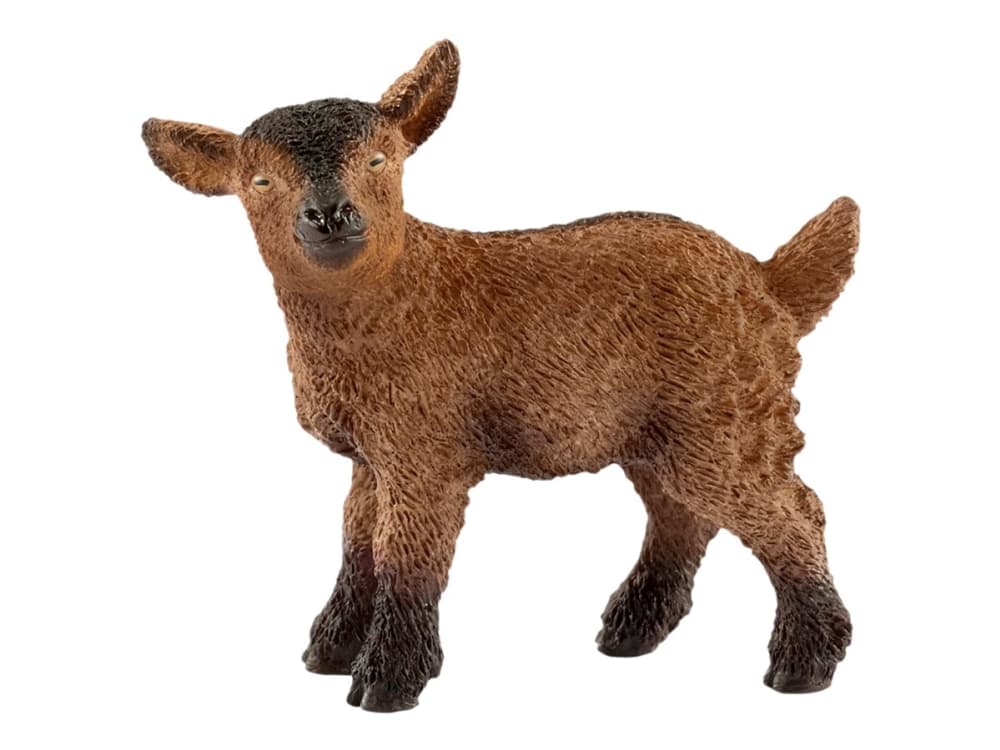 CABRITILLO