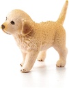 CACHORRO GOLDEN RETRIEVER