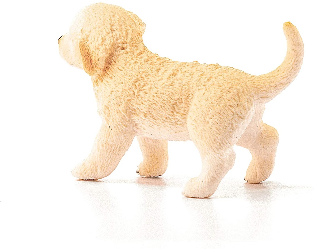 CACHORRO GOLDEN RETRIEVER