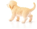 CACHORRO GOLDEN RETRIEVER