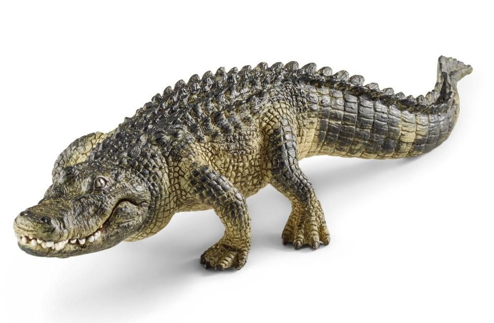 CAIMAN