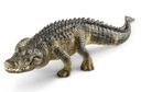 CAIMAN