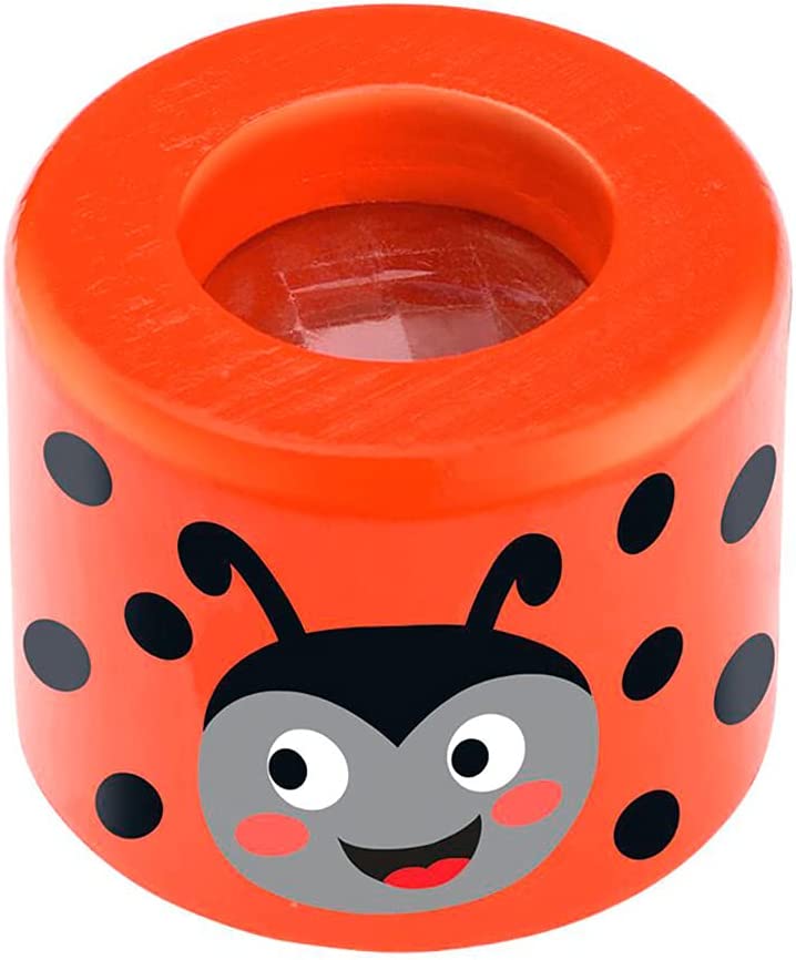 CALIDESCOPIO DE INSECTO