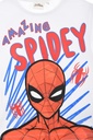 CAMISETA M/C.SPIDERMAN BL.T.3