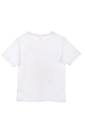 CAMISETA M/C.SPIDEY BLANCA T.2