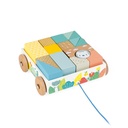 CARRITO C/CUBOS PARA PASEAR