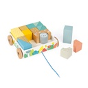 CARRITO C/CUBOS PARA PASEAR
