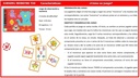 CARTAS MONSTRE TOI