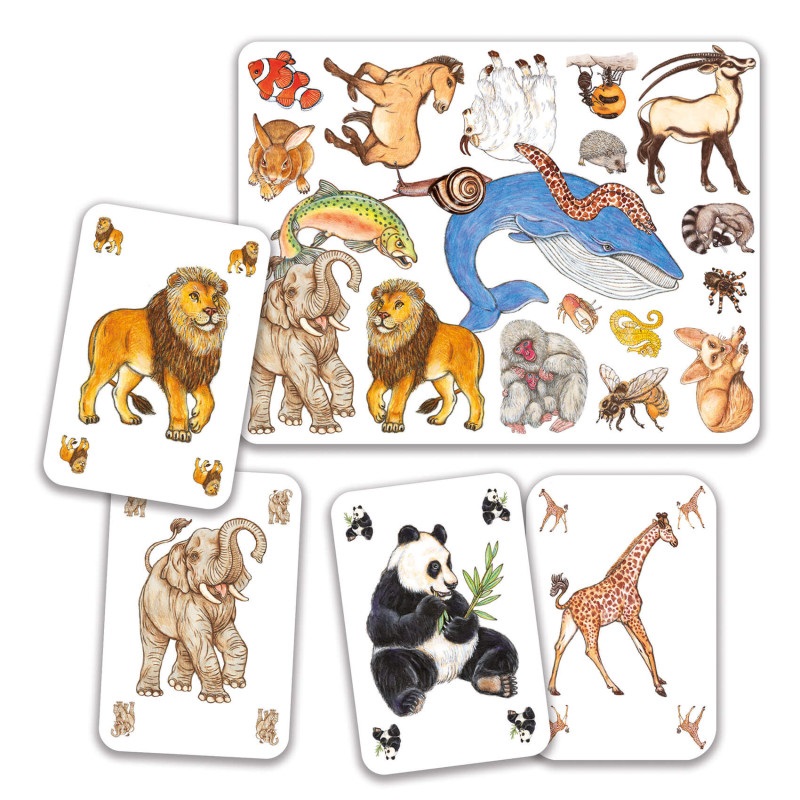 CARTAS ZANIMATCH