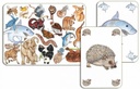 CARTAS ZANIMATCH