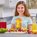 CHILLFACTOR MANGO MANIA