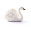 CISNE