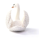 CISNE