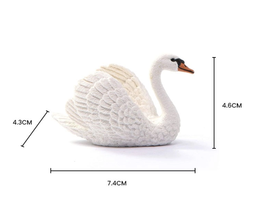 CISNE