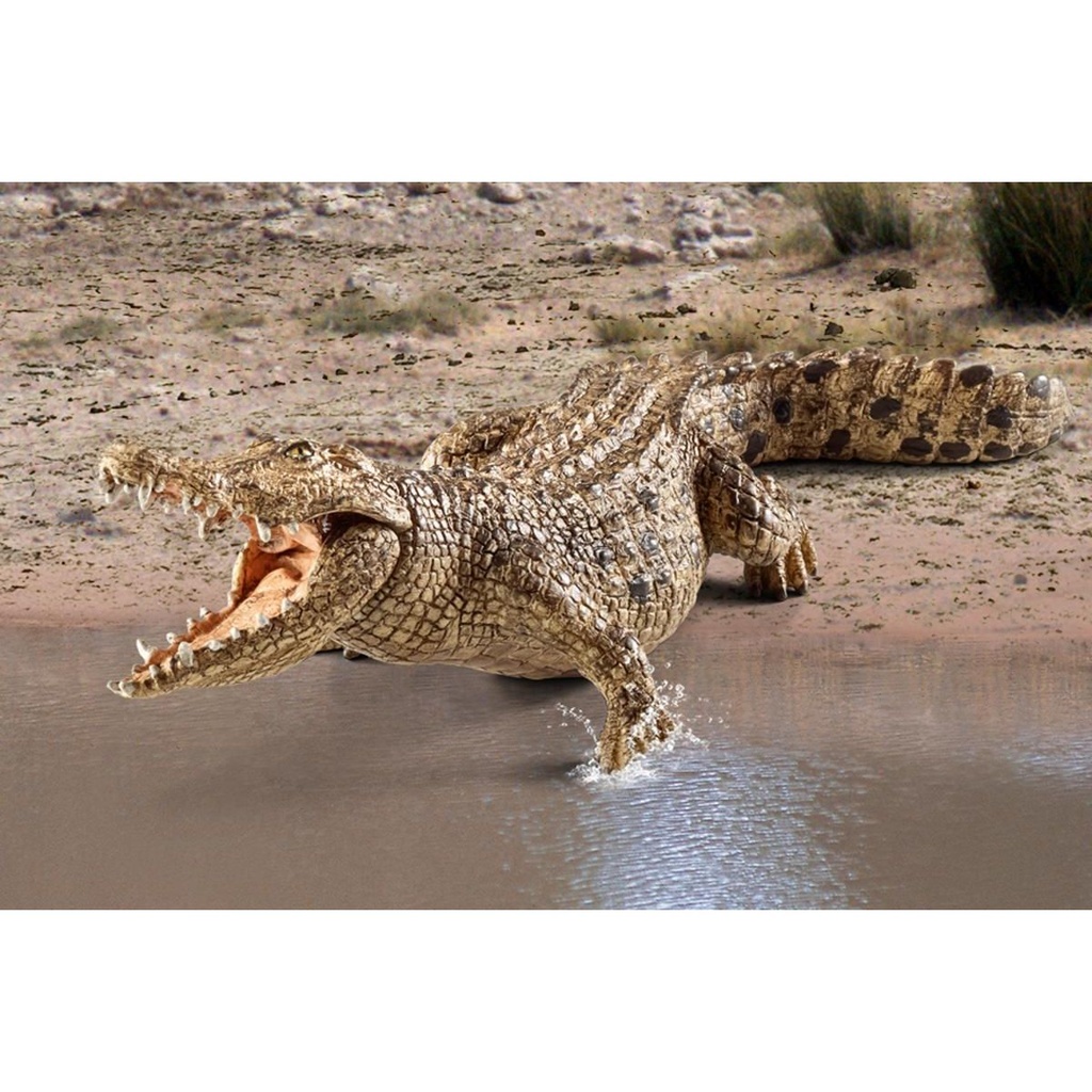 COCODRILO